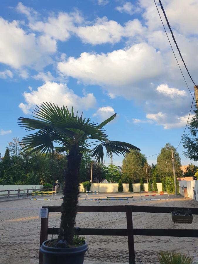 Farm Stay Nh Stables Nyrany المظهر الخارجي الصورة