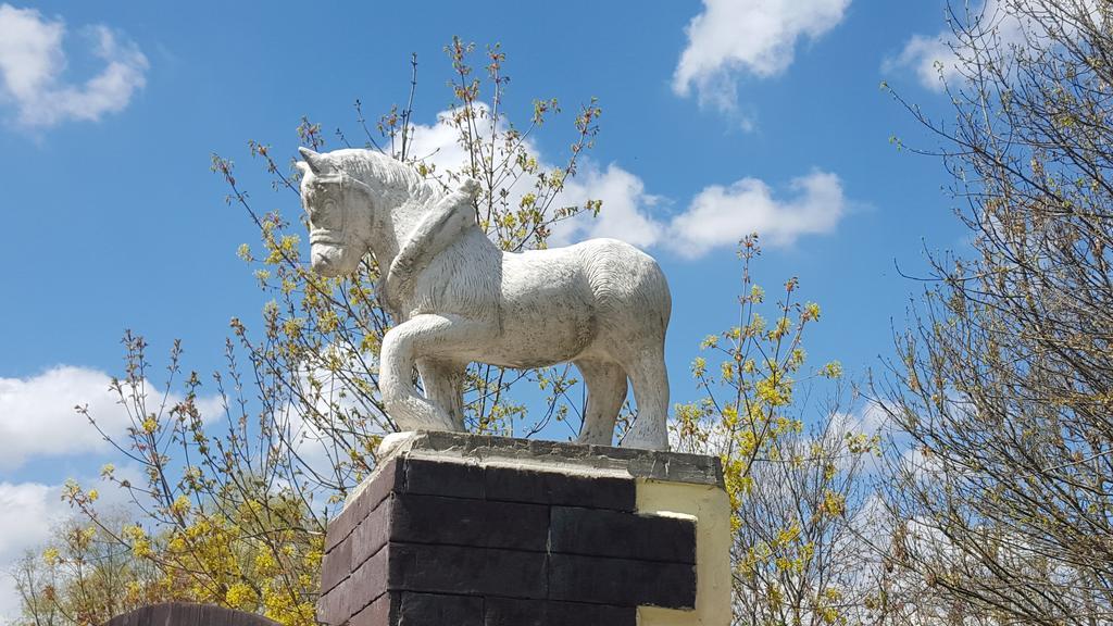 Farm Stay Nh Stables Nyrany المظهر الخارجي الصورة