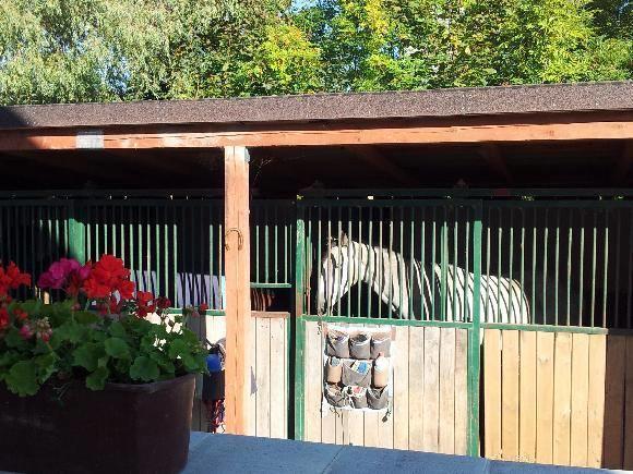 Farm Stay Nh Stables Nyrany المظهر الخارجي الصورة
