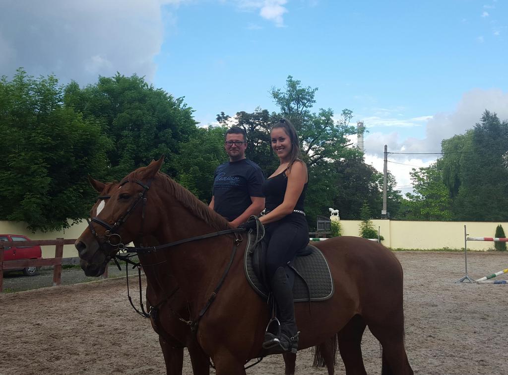 Farm Stay Nh Stables Nyrany المظهر الخارجي الصورة